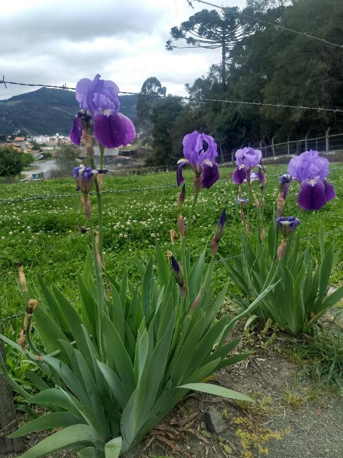 Chalés Manacá da Serra Urubici Kültér fotó